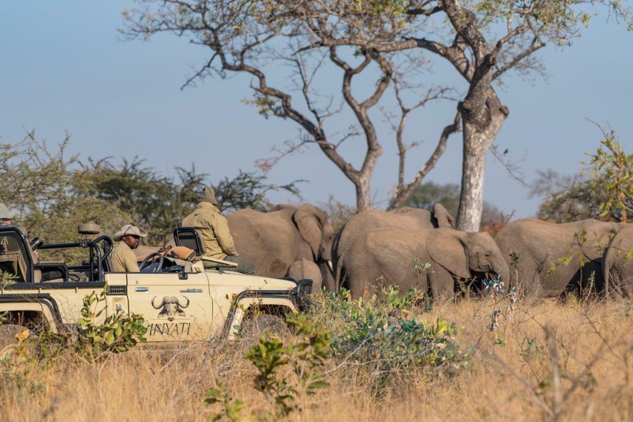 Inyati Game Lodge Khu bảo tồn Sabi Sand Ngoại thất bức ảnh